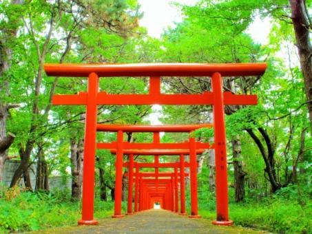 Kyonoya Fushimi Inari Villa Kyoto Eksteriør bilde